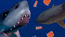 Hungry Shark Evolution Hungry Shark Evolution ile benzer