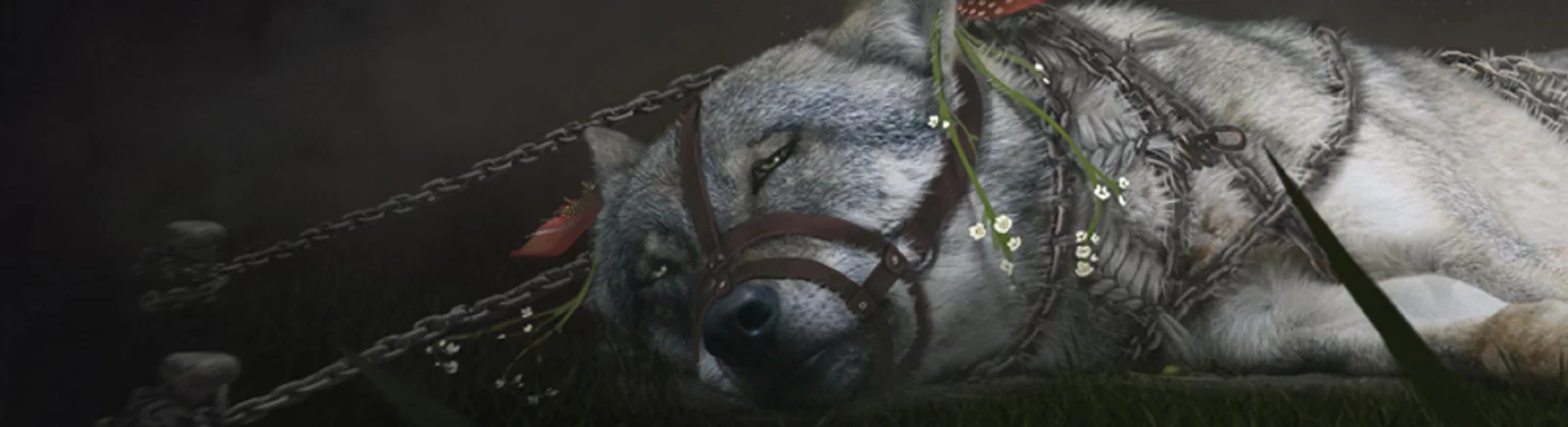 Farklı ülkelerde Soulframe çıkış tarihi