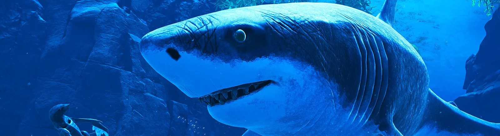 Farklı ülkelerde Glaciered çıkış tarihi