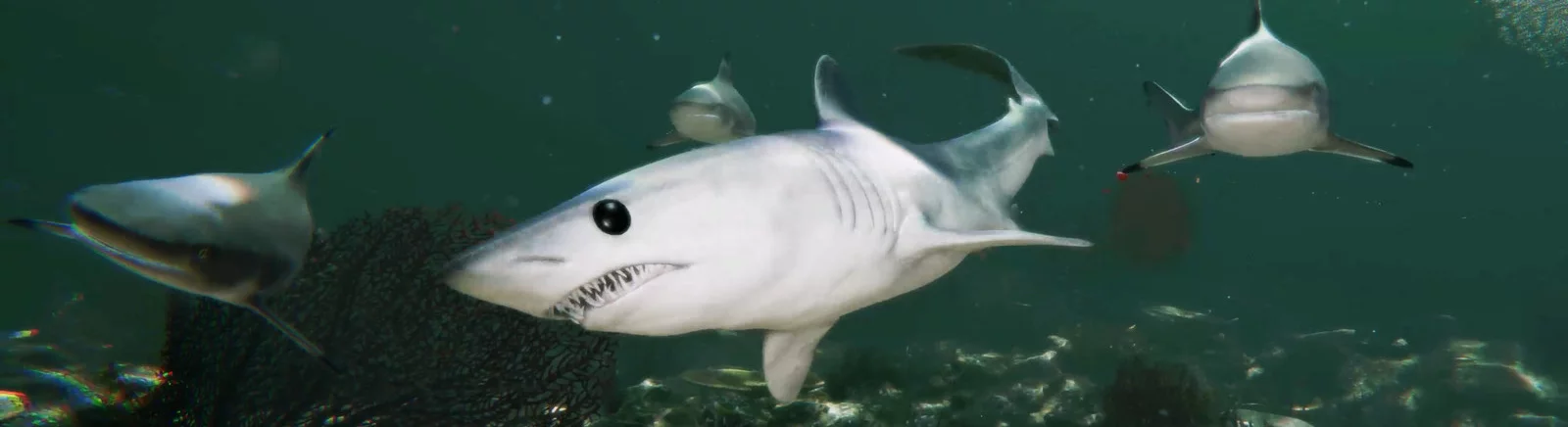Ucuz Death in the Water 2 satın al, %90'a varan indirimler 🏷️, farklı mağazalarda fiyat karşılaştırması