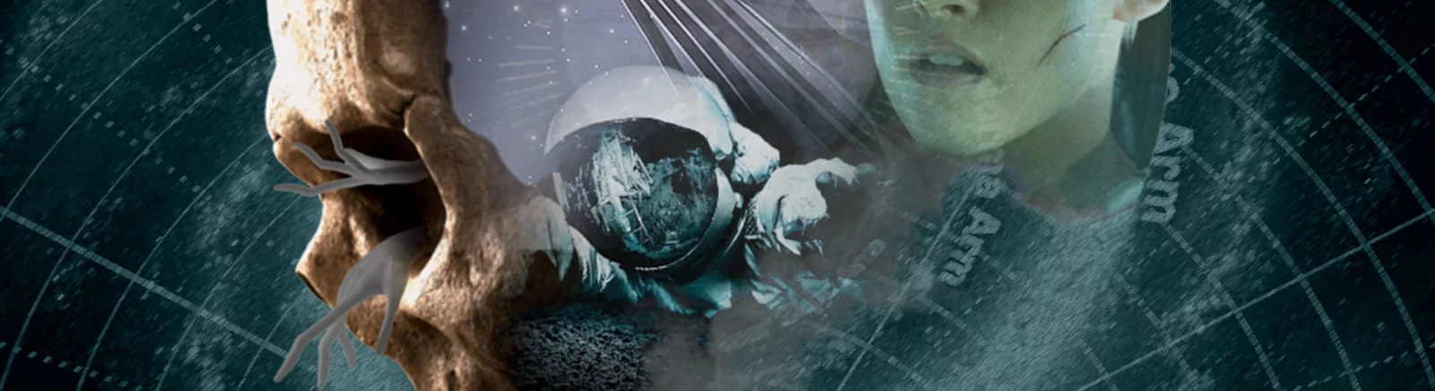 Farklı ülkelerde Directive 8020 çıkış tarihi