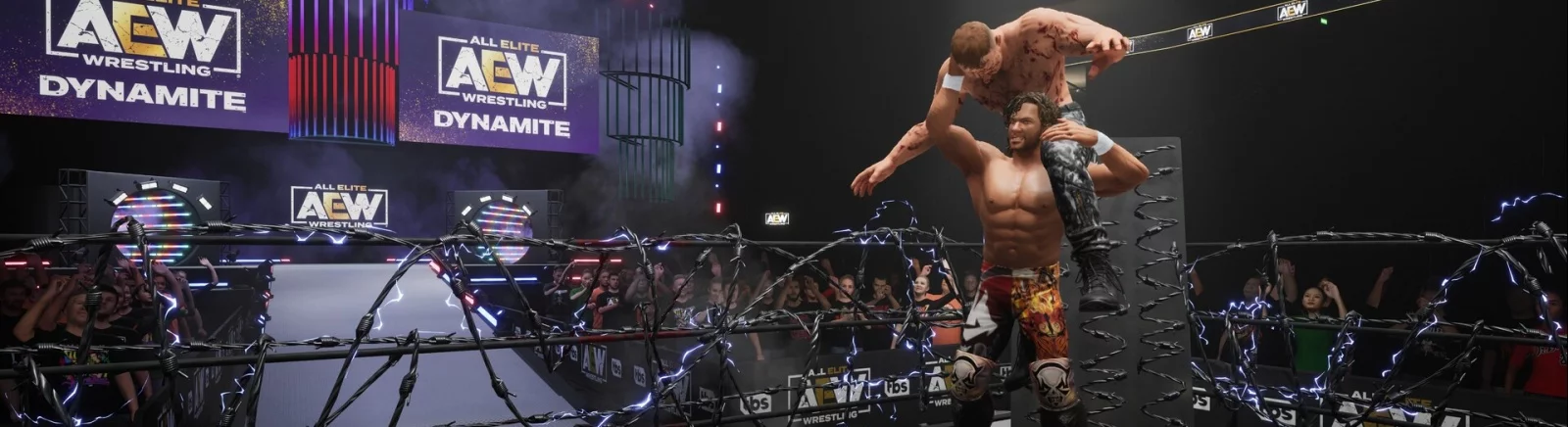 Farklı ülkelerde AEW: Fight Forever çıkış tarihi