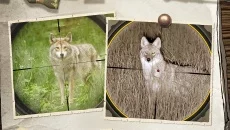 Hunting Simulator 2 Hunting Simulator 2 ile benzer