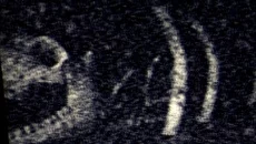 Inside the Backrooms Inside the Backrooms ile benzer