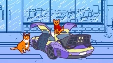 Cats and Seek Cats and Seek ile benzer
