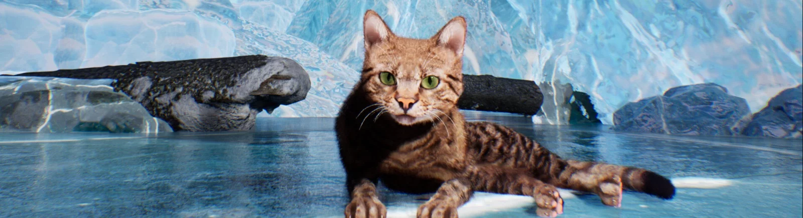 Ucuz Super Cat Simulator satın al, %90'a varan indirimler 🏷️, farklı mağazalarda fiyat karşılaştırması