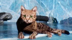 Max and Maya: Cat simulator Max and Maya: Cat simulator ile benzer