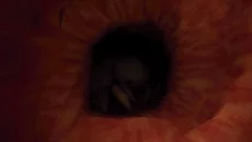 Fears to Fathom - Ironbark Lookout Fears to Fathom - Ironbark Lookout ile benzer