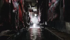 Mia's Hunt - Zombi türünde bir oyun