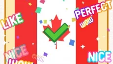 Flag Painting Puzzle - Eğitici oyun (Eğitim) türünde bir oyun