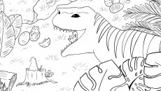 Find All 7: Japan Find All 7: Japan ile benzer