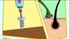 Jackbox Party Pack 4 Jackbox Party Pack 4 ile benzer