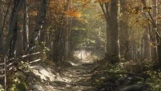 Aurora Hills: Chapter 1