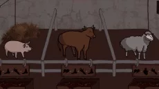 The Room The Room ile benzer