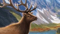 Cascadia - Masa oyunu / grup oyunu türünde bir oyun