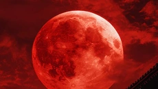 Black Myth: Wukong Black Myth: Wukong ile benzer