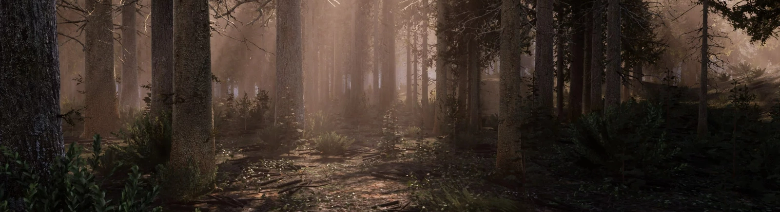 Karmaşık incelemeler Subversity hakkında — 0 görüş