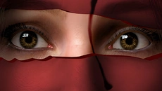 Remothered: Broken Porcelain Remothered: Broken Porcelain ile benzer