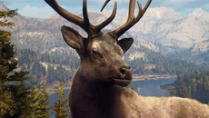 theHunter Classic theHunter Classic ile benzer