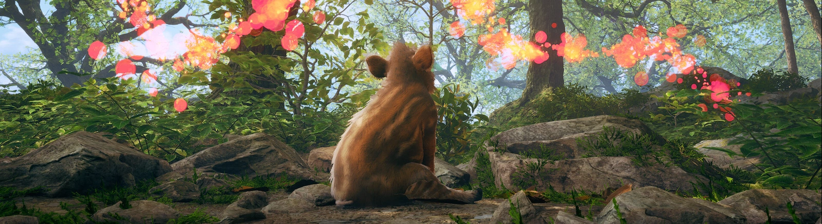 Farklı ülkelerde Adorable Adventures çıkış tarihi