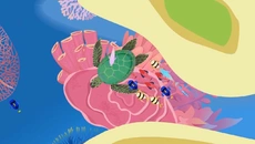 Delfini - Eğitici oyun (Eğitim) türünde bir oyun