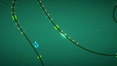 Tanglewood Tanglewood ile benzer