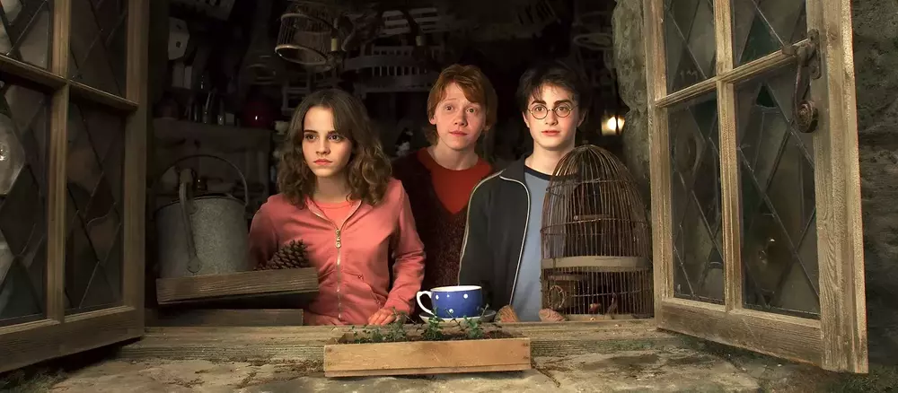 Test: Hangi Harry Potter Karakterisiniz, Albus Dumbledore mı yoksa Karanlık Lord mu?